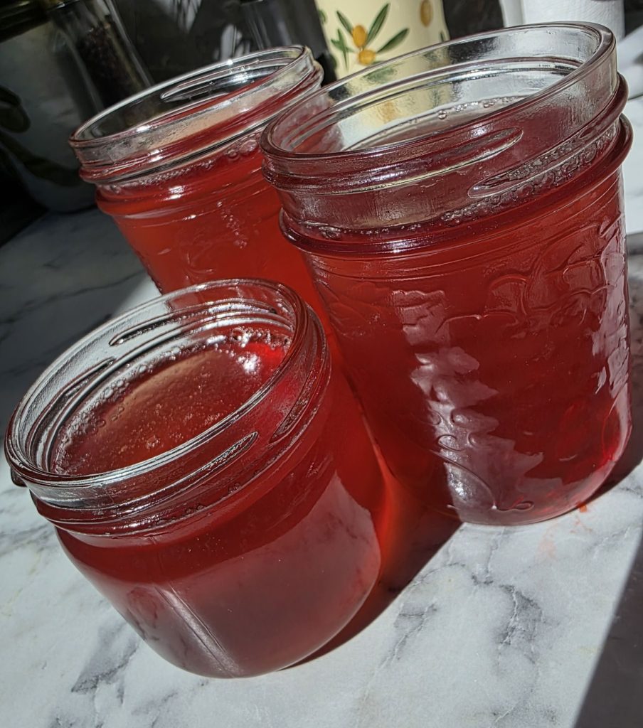 crabapple jelly in the sunlight